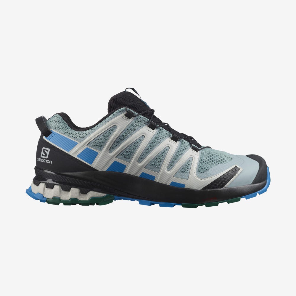 Salomon XA PRO 3D v8 Wanderschuhe Herren Grün/Blau | QMT-571096