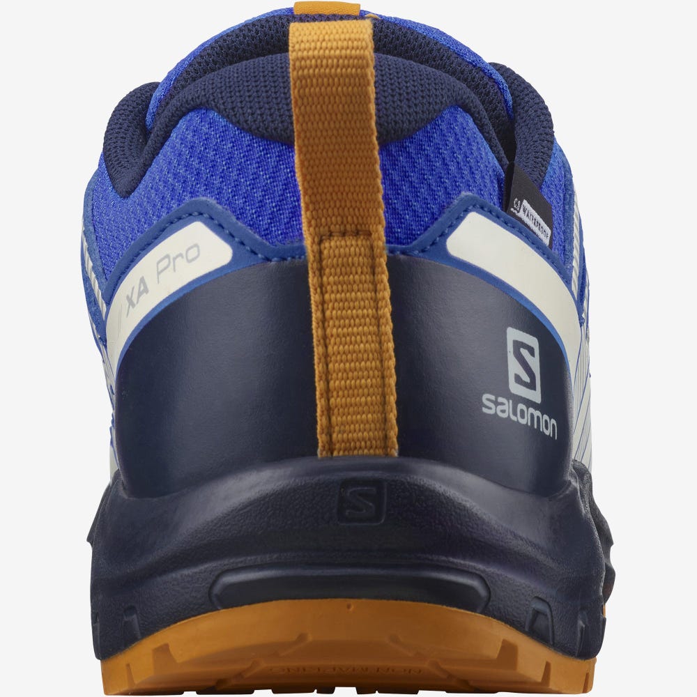 Salomon XA PRO V8 CLIMASALOMON™ WATERPROOF Wanderschuhe Kinder Blau/Navy | HQS-298564