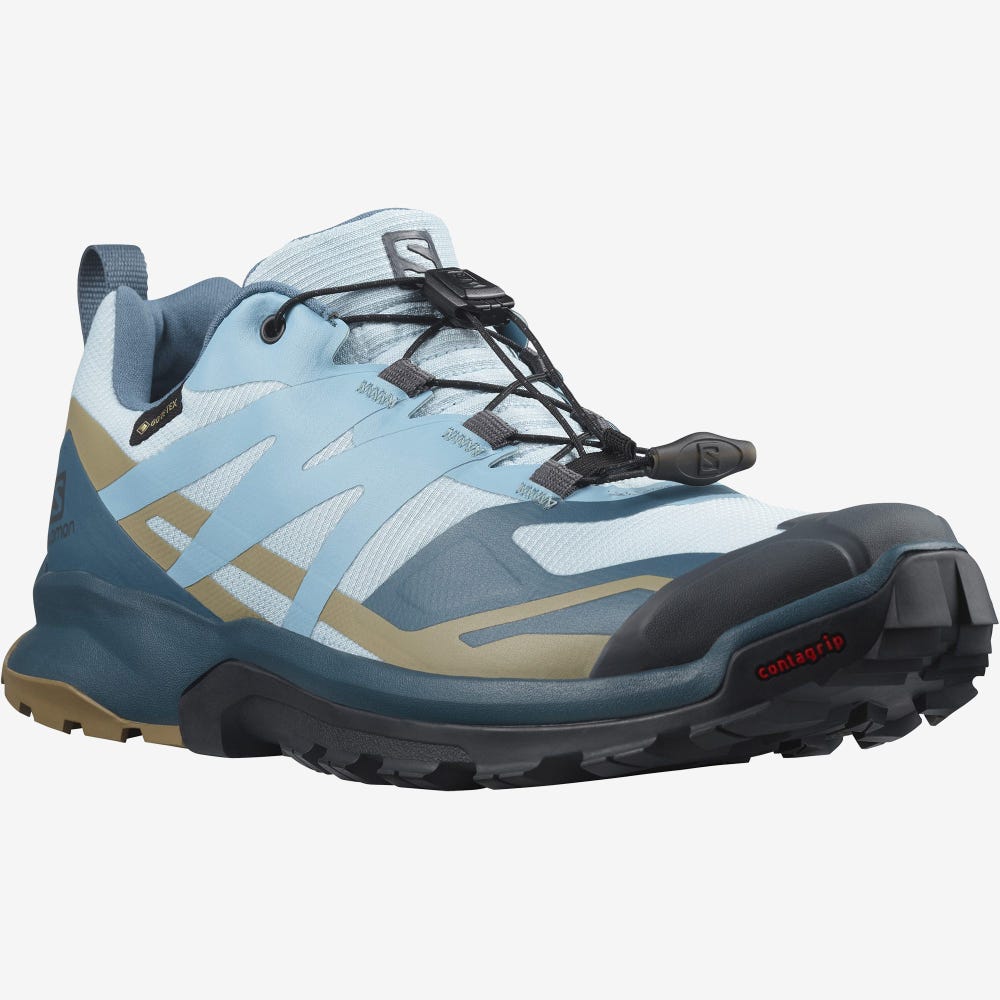 Salomon XA ROGG 2 GORE-TEX Trailrunning Schuhe Damen Blau | GSI-583627