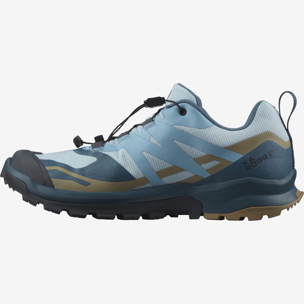 Salomon XA ROGG 2 GORE-TEX Trailrunning Schuhe Damen Blau | GSI-583627