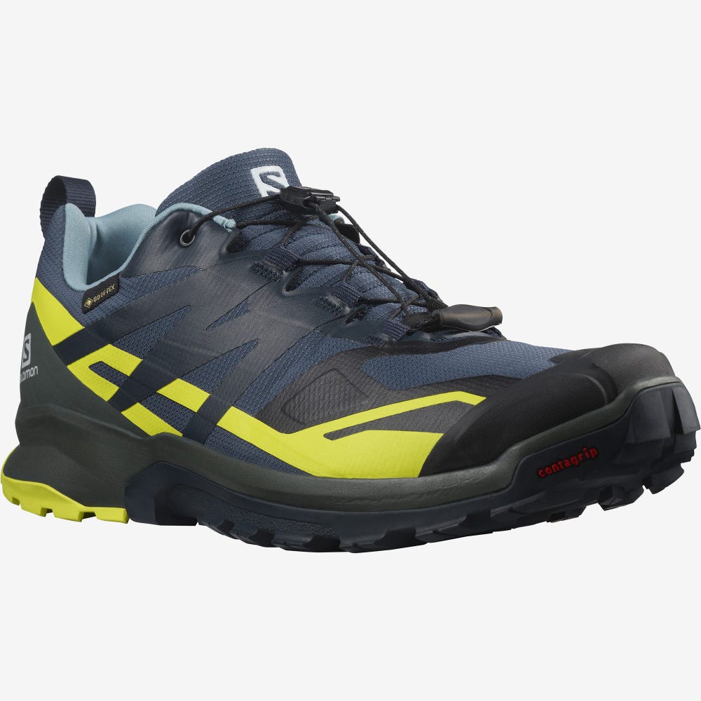 Salomon XA ROGG 2 GORE-TEX Trailrunning Schuhe Herren Indigo | JFZ-456980