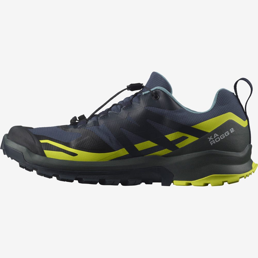 Salomon XA ROGG 2 GORE-TEX Trailrunning Schuhe Herren Indigo | JFZ-456980