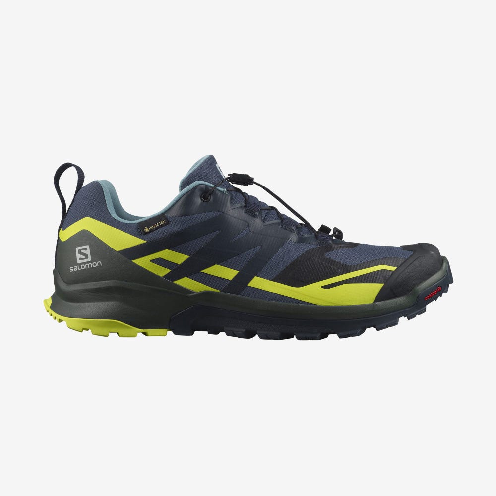 Salomon XA ROGG 2 GORE-TEX Trailrunning Schuhe Herren Indigo | JFZ-456980