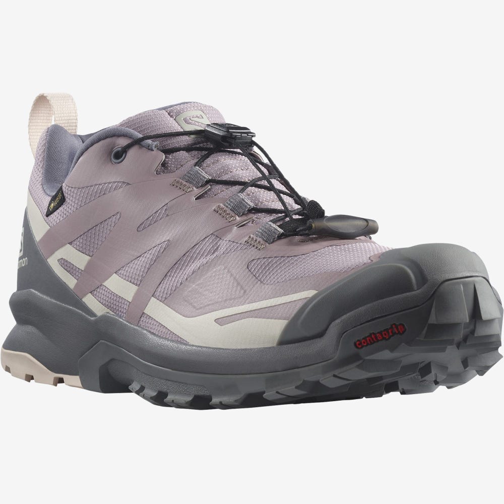 Salomon XA ROGG 2 GORE-TEX Trailrunning Schuhe Damen Grau | JSU-789560