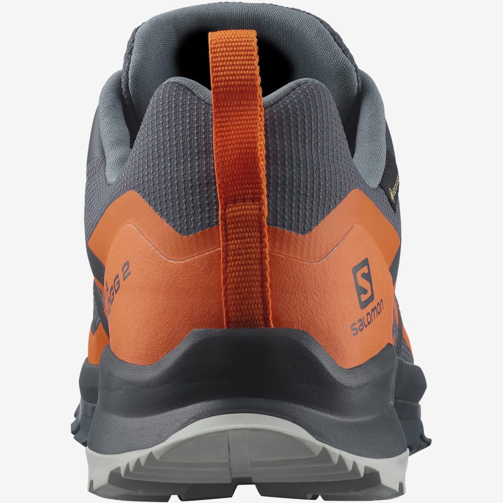 Salomon XA ROGG 2 GORE-TEX Trailrunning Schuhe Herren Grau/Orange | MFR-386457