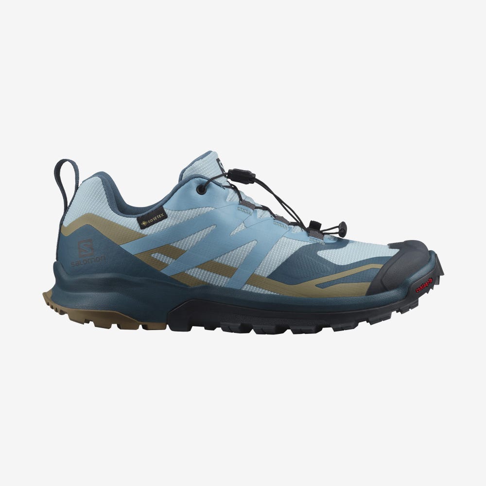 Salomon XA ROGG 2 GORE-TEX Wanderschuhe Damen Blau | HZW-098143