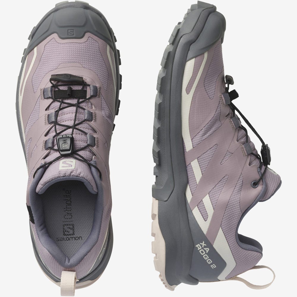 Salomon XA ROGG 2 GORE-TEX Wanderschuhe Damen Grau | OIN-906371