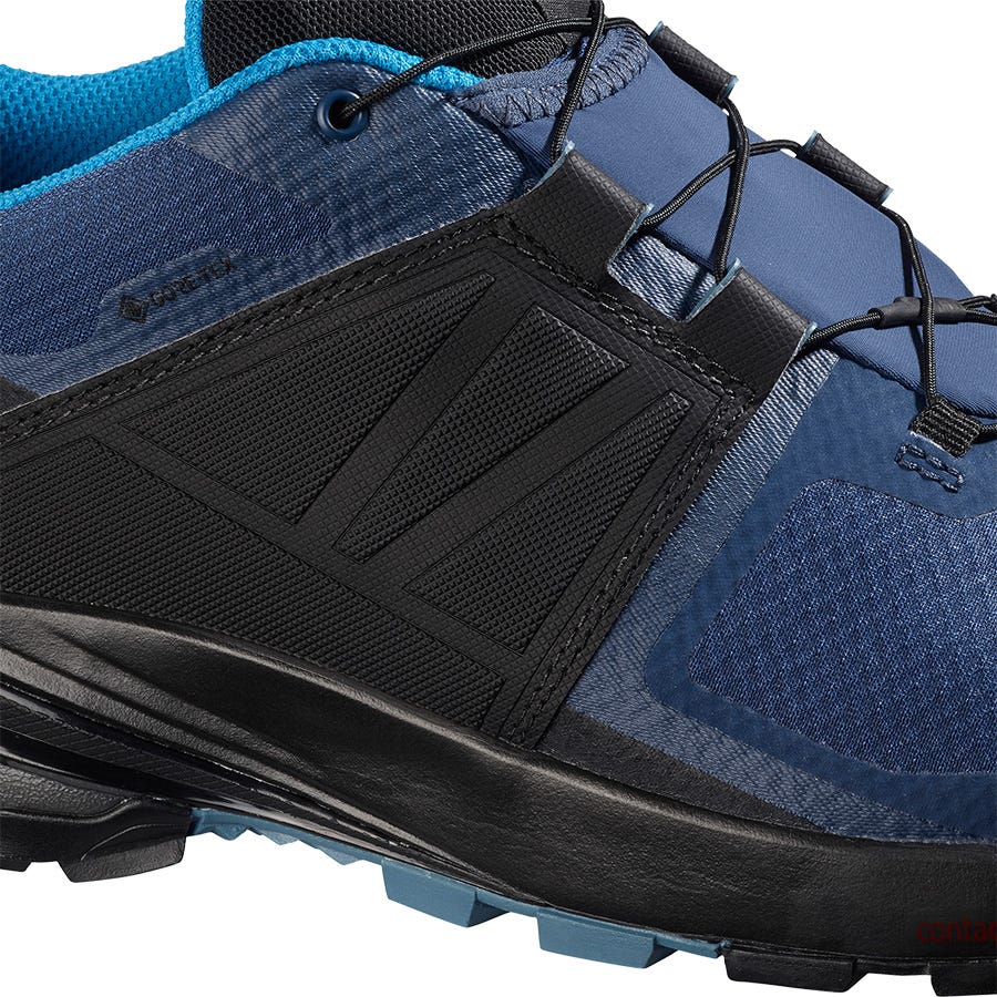 Salomon XA WILD GORE-TEX Wanderschuhe Herren Blau/Schwarz | YRU-514987