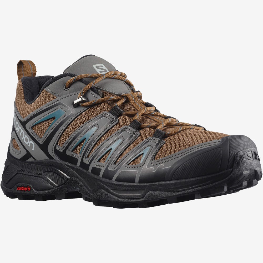 Salomon X ULTRA PIONEER Wanderschuhe Herren Blau | ETY-178453