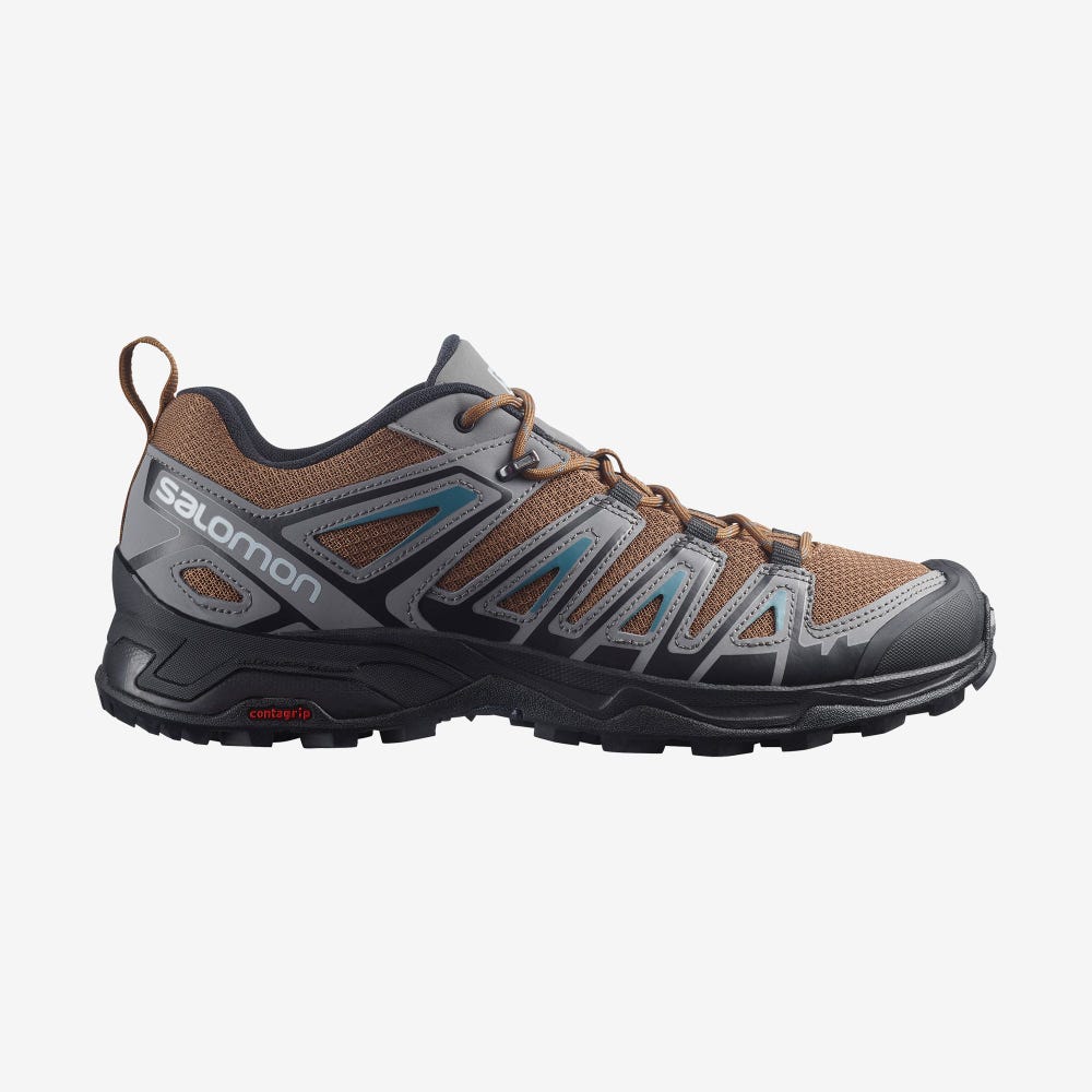 Salomon X ULTRA PIONEER Wanderschuhe Herren Blau | ETY-178453