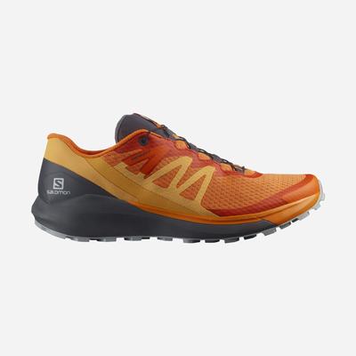 Salomon SENSE RIDE 4 Trailrunning Schuhe Herren Orange | GNZ-671329