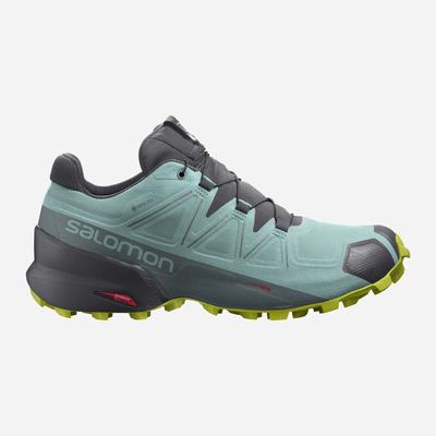 Salomon SPEEDCROSS 5 GORE-TEX Trailrunning Schuhe Damen Türkis | GBT-948012