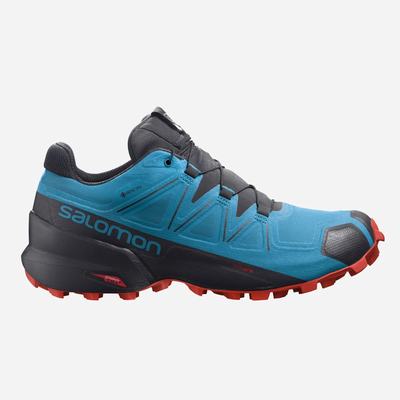 Salomon SPEEDCROSS 5 GORE-TEX Trailrunning Schuhe Herren Blau/Schwarz | UGD-792058