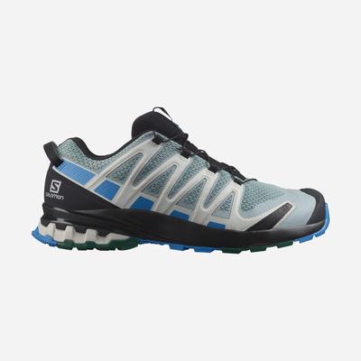 Salomon XA PRO 3D v8 Trailrunning Schuhe Herren Grün/Blau | CDN-502196